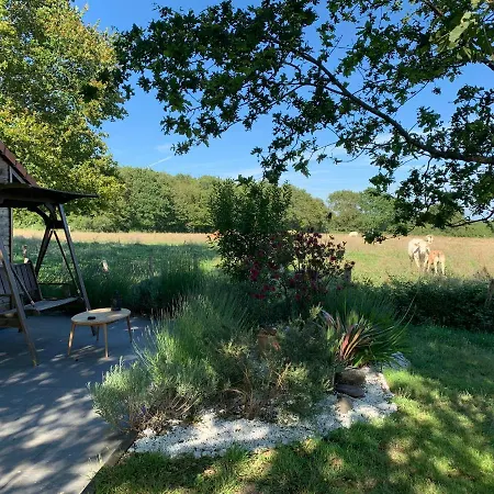 Le Chant Des Pierres - Entre Terre Et *