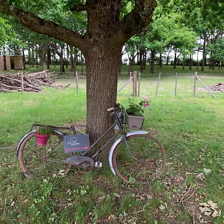 別荘 Le Chant Des Pierres - Entre Terre Et *