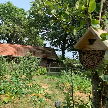 Le Chant Des Pierres - Entre Terre Et 別荘 *