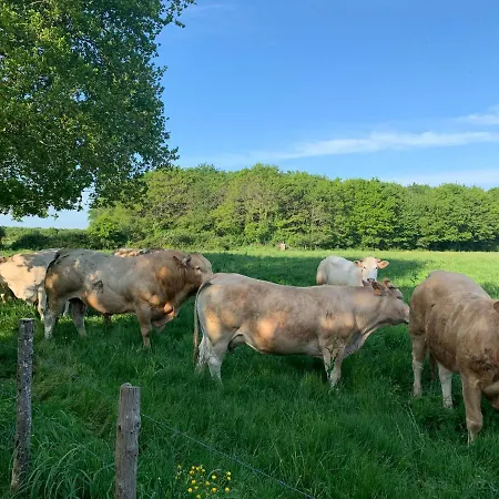 Le Chant Des Pierres - Entre Terre Et بيت للعطل *
