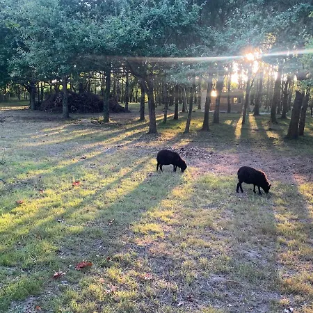 بيت للعطل Le Chant Des Pierres - Entre Terre Et