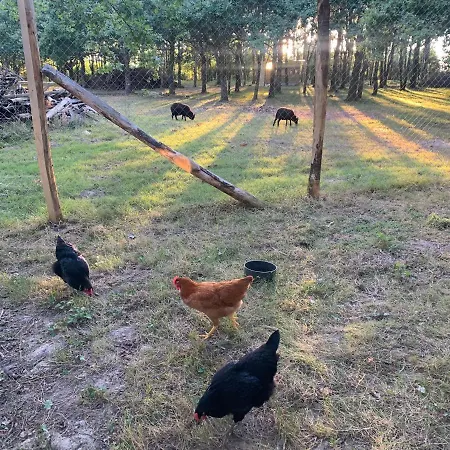 Le Chant Des Pierres - Entre Terre Et Σπίτι διακοπών Pornic