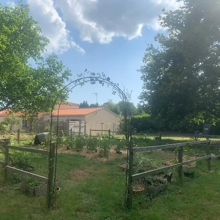 Le Chant Des Pierres - Entre Terre Et *