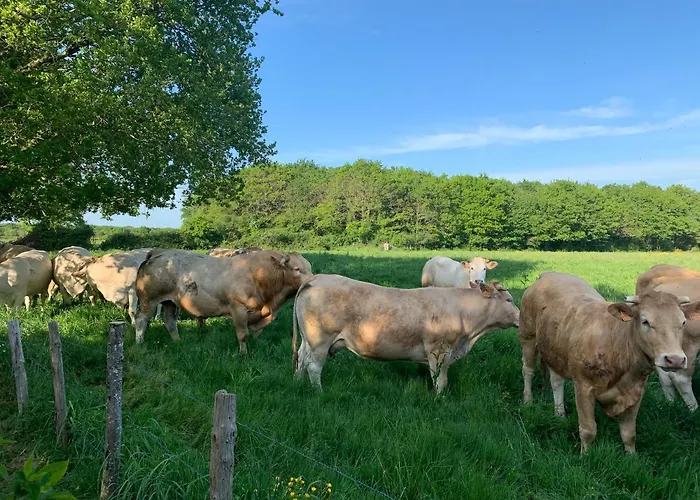 Le Chant Des Pierres - Entre Terre Et Ferienhaus *
