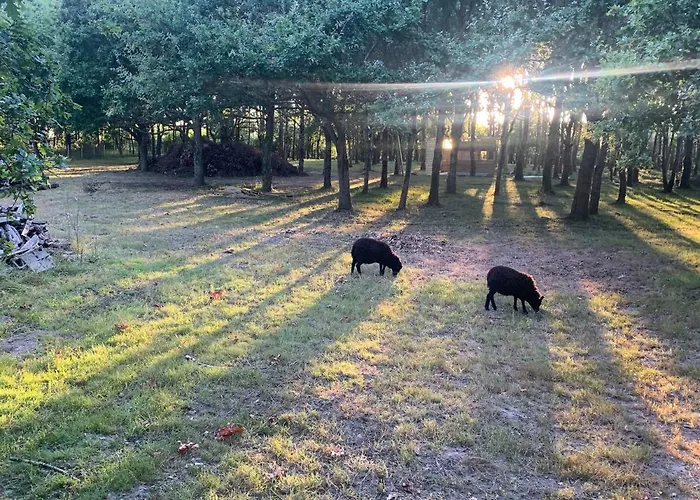 Ferienhaus Le Chant Des Pierres - Entre Terre Et