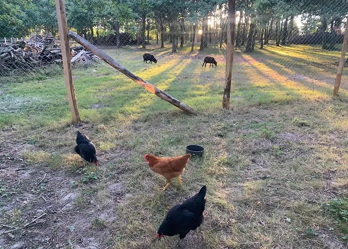 Le Chant Des Pierres - Entre Terre Et Ferienhaus Pornic
