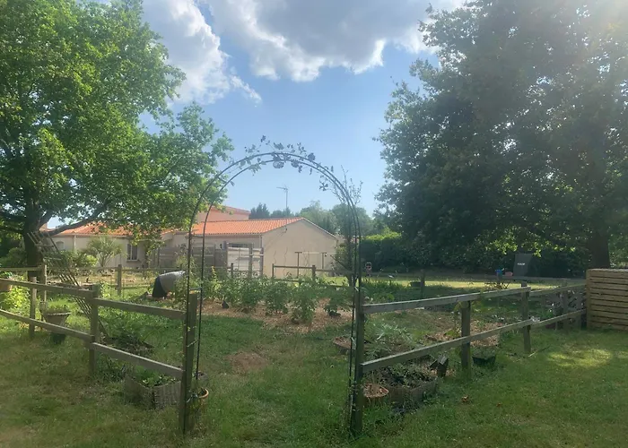 Le Chant Des Pierres - Entre Terre Et *