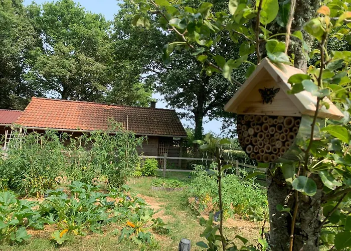 Le Chant Des Pierres - Entre Terre Et Ferienhaus *